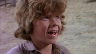 The Nephews The Nephews