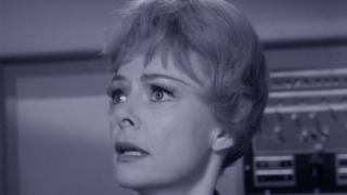 One of Our Dogs Is Missing