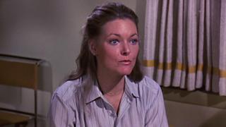 Captain's Captain; Dog's Life; Romance Roulette