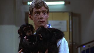 Tony and Julie; Separate Beds; America's Sweetheart