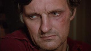 Period of Adjustment