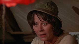 The Nurses The Nurses