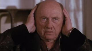 The Lost Amadeus The Lost Amadeus