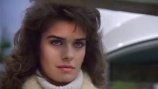 The Negotiator The Negotiator