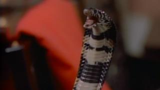 Murderers' Sky Murderers' Sky