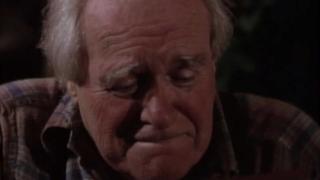 The Madonna The Madonna