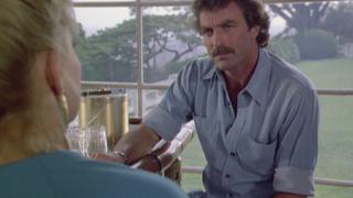 Echoes of the Mind Echoes of the Mind