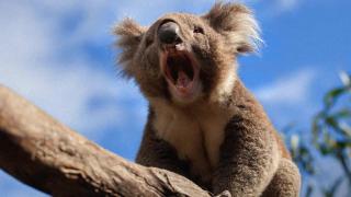 Communication Communication