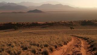 Lost City of Gold Lost City of Gold