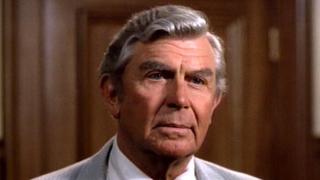 The Best Friend The Best Friend