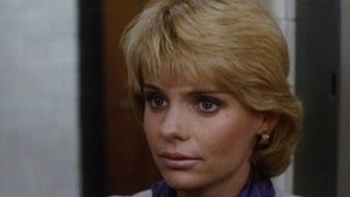 Diary of a Perfect Murder