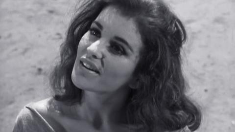 The Witch of Hound Dog