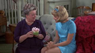Aunt Bee's Cruise Aunt Bee's Cruise