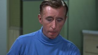 The Race Horse The Race Horse