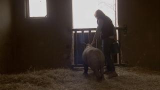 Pemba and Dwayne Pemba and Dwayne