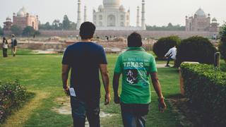 India: Tigers and the Taj