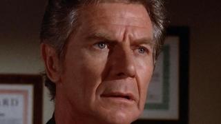 The Fighter The Fighter