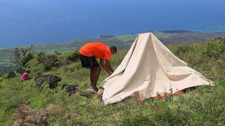 Ty and Mahogany Ty and Mahogany