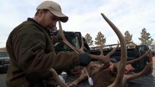 Stolen Future Stolen Future