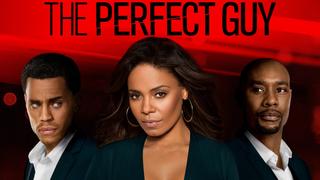 watch The Perfect Guy