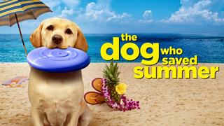  watch The Dog Who Saved Summer