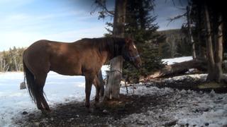 Wasted Dummy Wasted Dummy