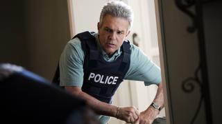 A Rose Is a Rose A Rose Is a Rose