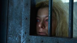 Formalized, Complex, and Costly