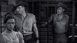 Drifter's Gold Drifter's Gold