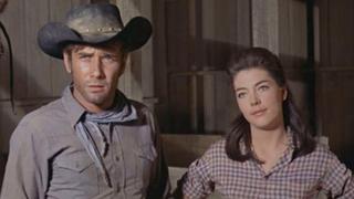 The Last Journey The Last Journey