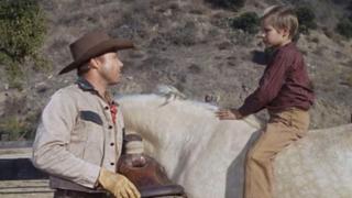 The Confederate Express