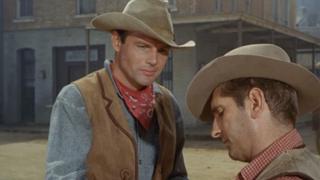 The Wedding Party The Wedding Party