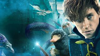 Fantastic Beasts and Where to Find Them
