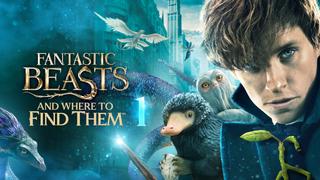 watch Fantastic Beasts and Where to Find Them
