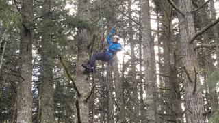Out on a Limb