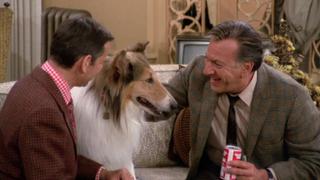 The Dog Story The Dog Story