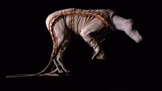 Mysteries at the Museum