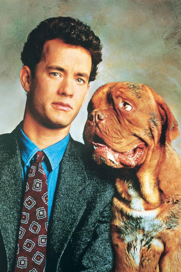 Turner & Hooch