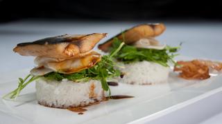 Introducing Hana Introducing Hana