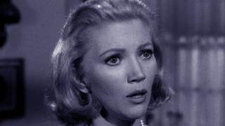 The Case of the Provocative Protege The Case of the Provocative Protege