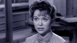 The Case of the Larcenous Lady The Case of the Larcenous Lady