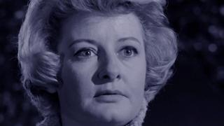 The Case of the Potted Planter The Case of the Potted Planter