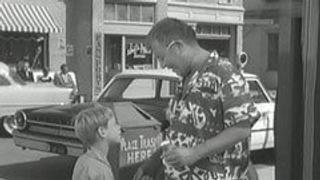 The Case of the Shifty Shoebox The Case of the Shifty Shoebox