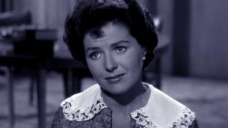 The Case of the Startled Stallion