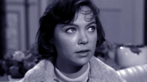 The Case of the Mythical Monkeys