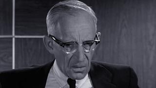 Dog Days at Shady Rest