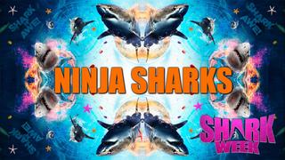  watch Ninja Sharks