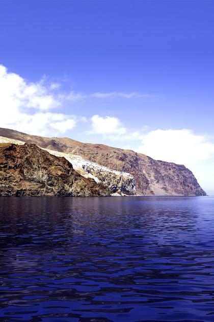 Island of the Mega Shark