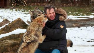She-Wolf trouble She-Wolf trouble