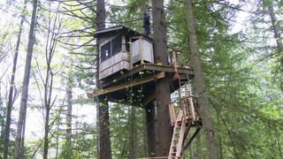 Nelson Family Treehouse Nelson Family Treehouse